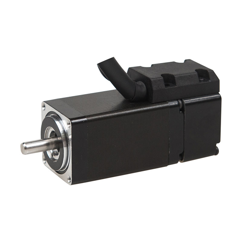 9SYSE Low Voltage Series Servo Motor